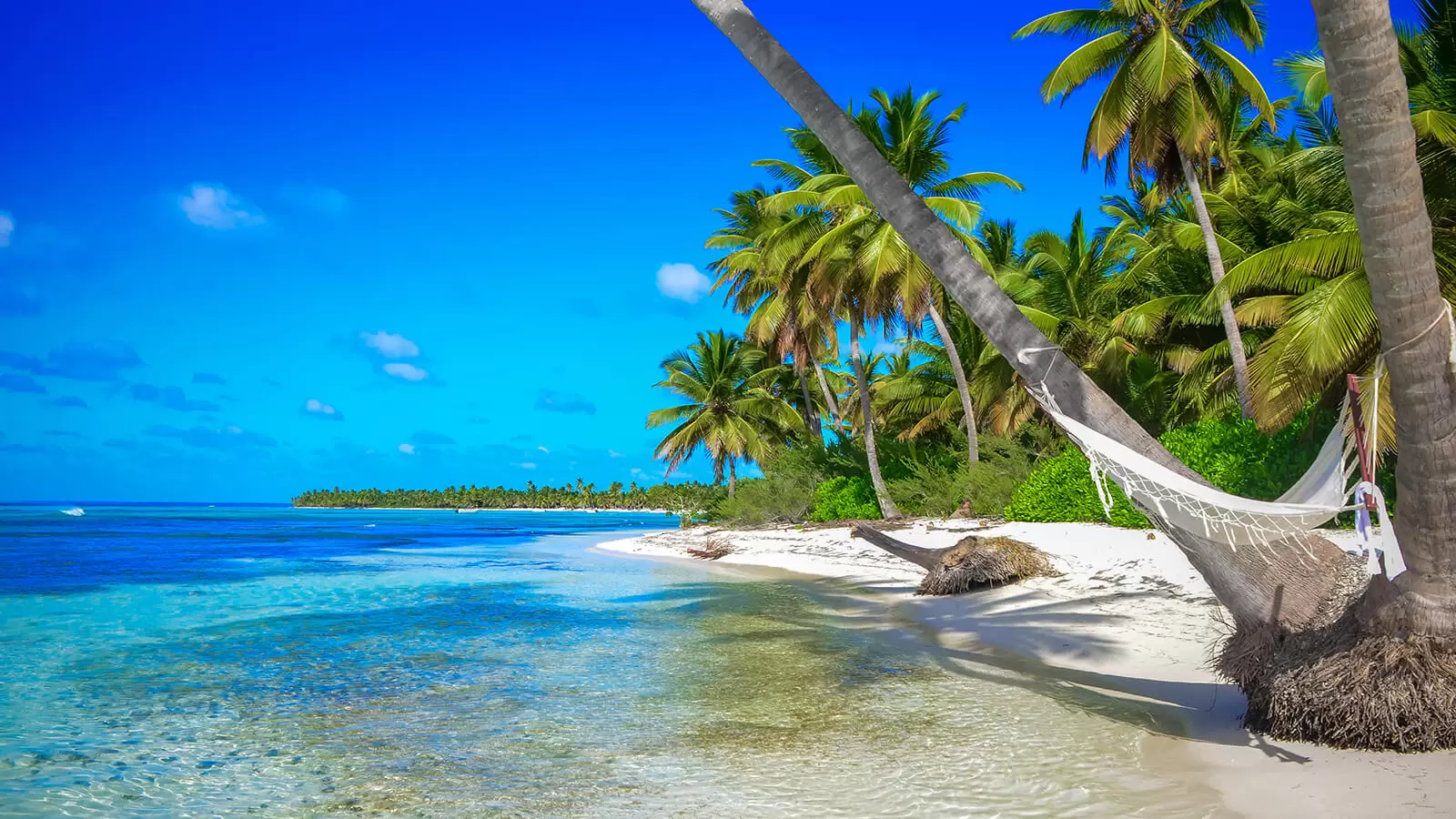 beach-bocas-del-toro-panama