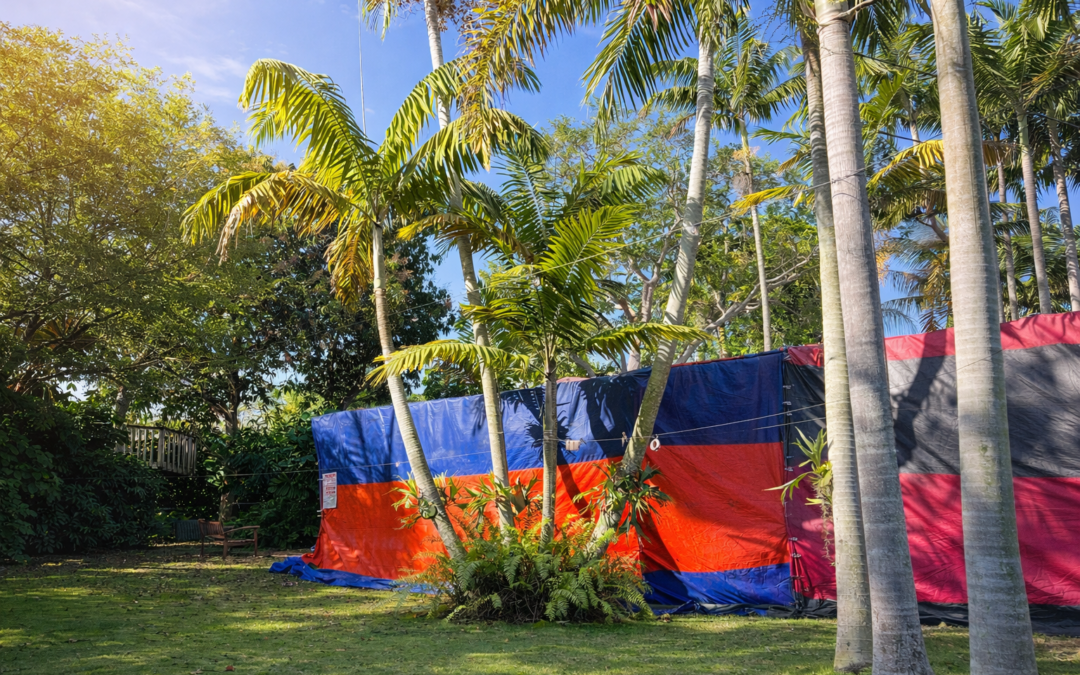 Termite Tenting in Miami: What Home Sellers Should Know